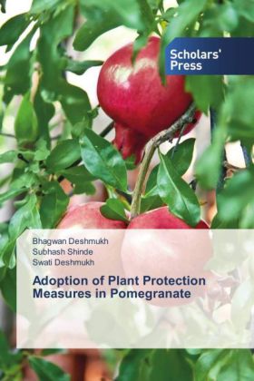Adoption of Plant Protection Measures in Pomegranate