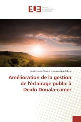 Amélioration de la gestion de l'éclairage public à Deido Douala-camer