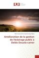 Amélioration de la gestion de l'éclairage public à Deido Douala-camer