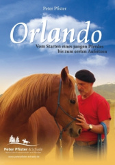 Orlando, DVD