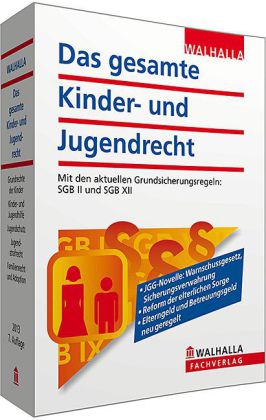 Das gesamte Kinder- und Jugendrecht