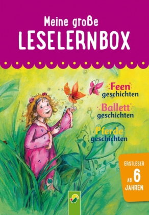 Meine große Leselernbox - Feengeschichten, Ballettgeschichten, Pferdegeschichten, 3 Bde.