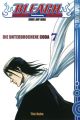 Bleach - Die unterbrochene Coda