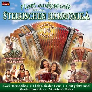 Flott aufgespielt mit der Steirischen Harmonika 