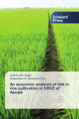 An economic analysis of risk in rice cultivation in UBVZ of Assam