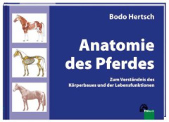 Anatomie des Pferdes