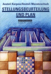 Stellungsbeurteilung und Plan