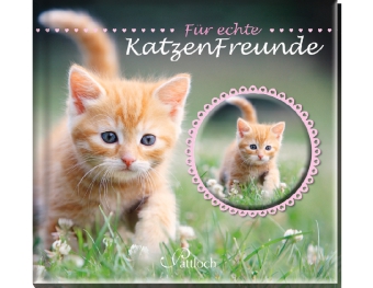 Für echte Katzenfreunde