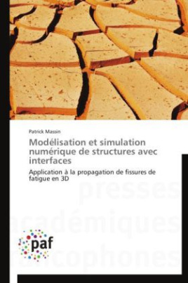 Modélisation et simulation numérique de structures avec interfaces