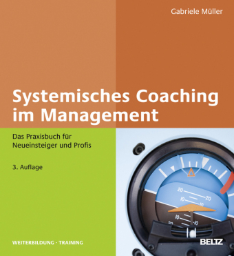 Systemisches Coaching im Management