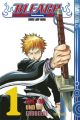 Bleach - Der Tod und die Erdbeere