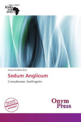 Sedum Anglicum