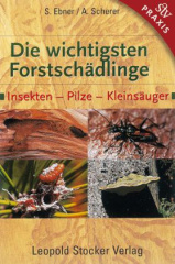 Die wichtigsten Forstschädlinge