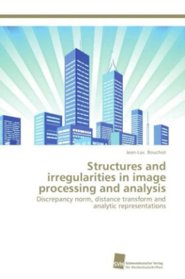 Structures and irregularities in image processing and analysis