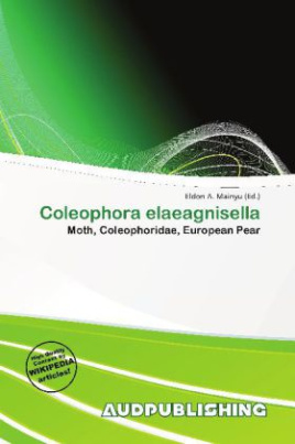 Coleophora elaeagnisella
