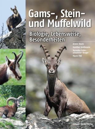 Gams-, Stein- und Muffelwild