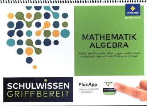 Schulwissen griffbereit - Algebra