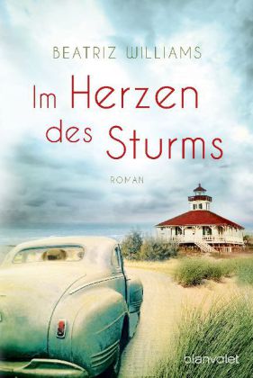 Im Herzen des Sturms