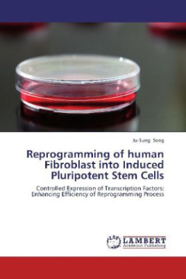 Reprogramming of human Fibroblast into Induced Pluripotent Stem Cells