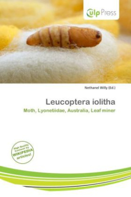 Leucoptera iolitha