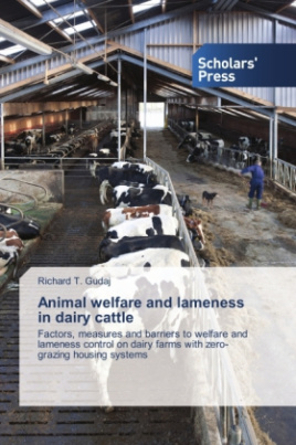 Animal welfare and lameness in dairy cattle