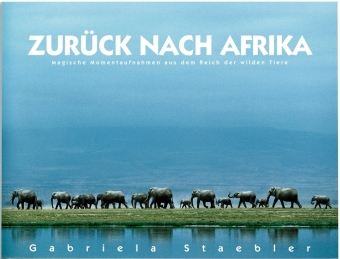 Zurück nach Afrika