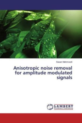 Anisotropic noise removal for amplitude modulated signals