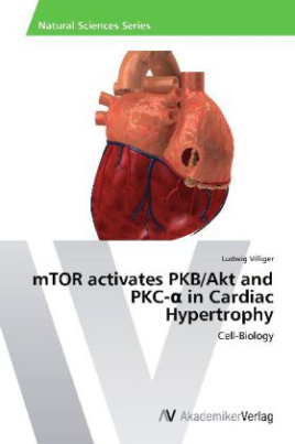 mTOR activates PKB/Akt and PKC-  in Cardiac Hypertrophy