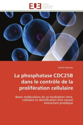 La phosphatase CDC25B dans le contrôle de la prolifération cellulaire