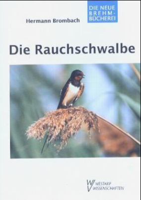 Die Rauchschwalbe