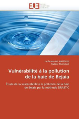 Vulnérabilité à la pollution de la baie de Bejaia