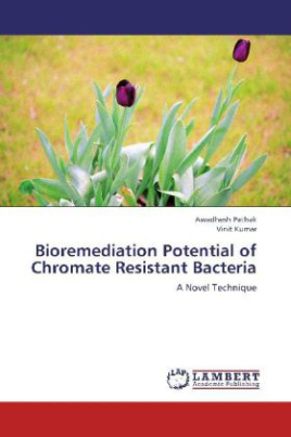 Bioremediation Potential of Chromate Resistant Bacteria