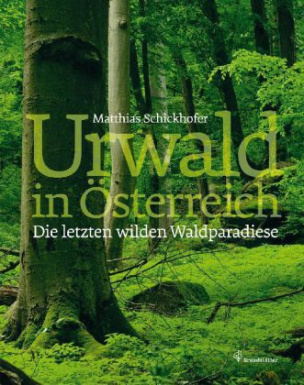 Urwald in Österreich