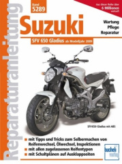 Suzuki SFV 650 Gladius ab Modelljahr 2009