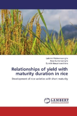 Relationships of yield with maturity duration in rice