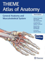 General Anatomy and Musculoskeletal System