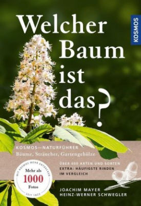 Welcher Baum ist das?