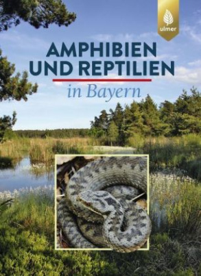 Amphibien und Reptilien in Bayern