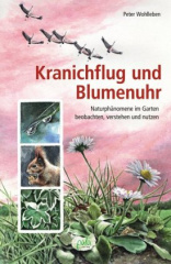 Kranichflug und Blumenuhr