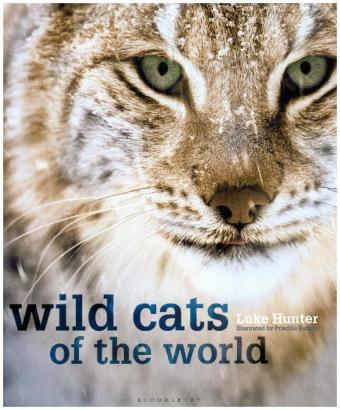 Wild Cats of the World