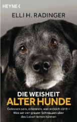 Die Weisheit alter Hunde