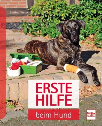 Erste Hilfe beim Hund