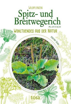 Spitz- und Breitwegerich - Plantago