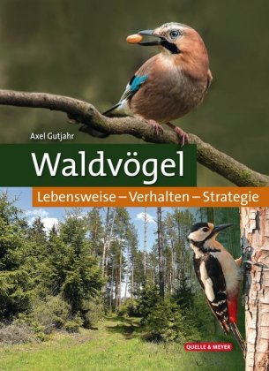 Waldvögel