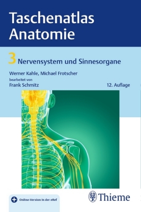 Nervensystem und Sinnesorgane