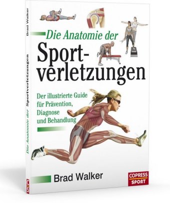 Die Anatomie der Sportverletzungen