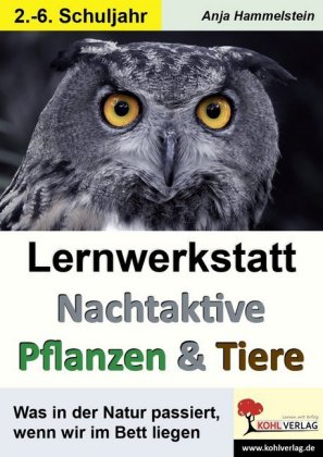 Lernwerkstatt Nachtaktive Pflanzen und Tiere