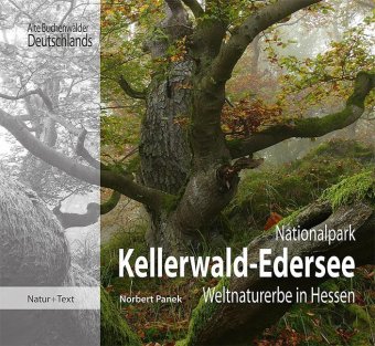 Nationalpark Kellerwald-Edersee