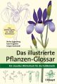 Das illustrierte Pflanzen-Glossar