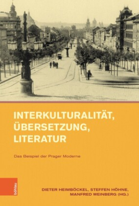 Interkulturalität, Übersetzung, Literatur